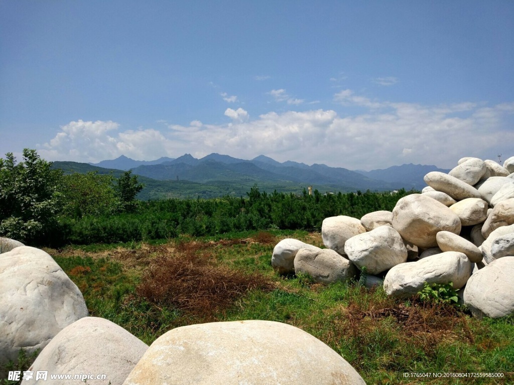 山野