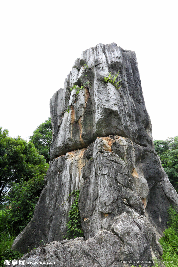 云南石林风光