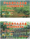 生态农业