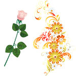 玫瑰花 花朵花纹
