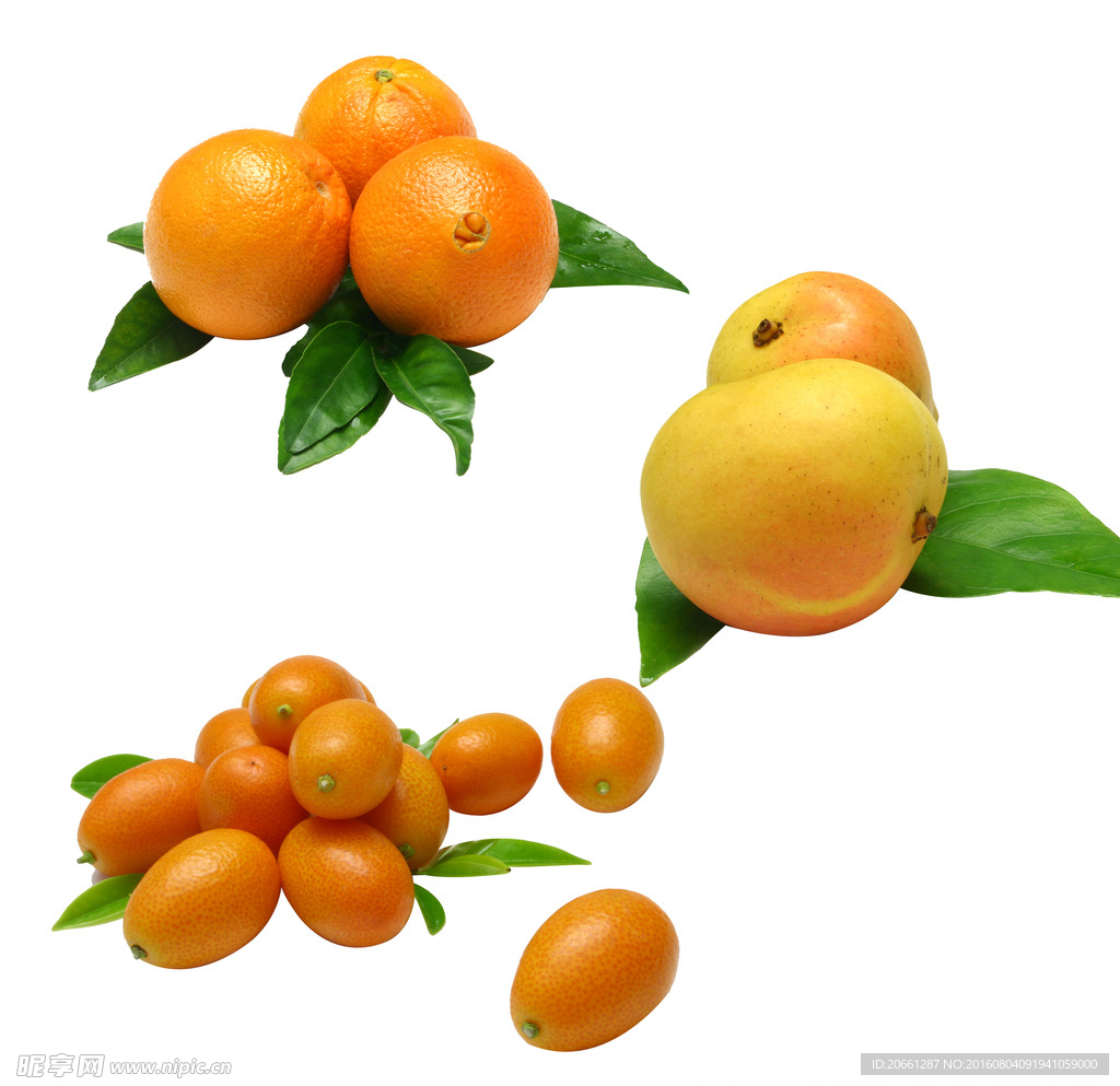 芒果 橙子 金桔