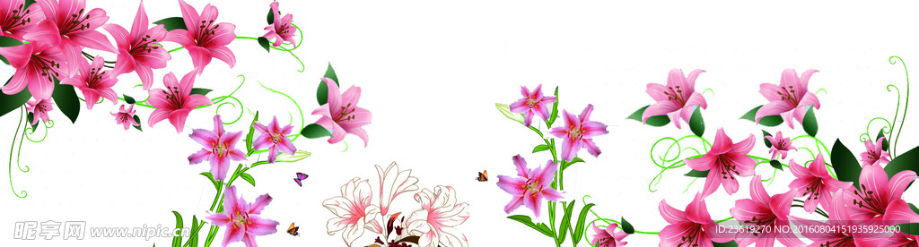 墙花