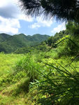 田园风光