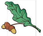 蘑菇