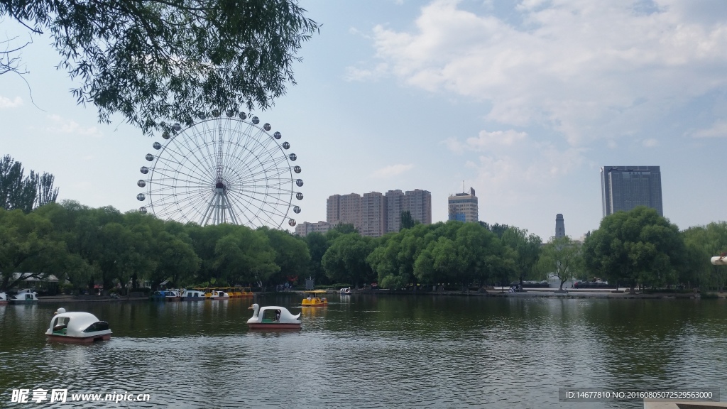 青城公园