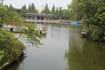 湖边风光