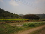 乡间小路
