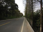 乡间公路