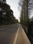 乡间公路