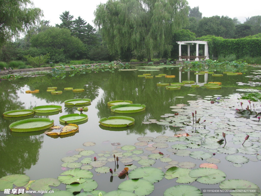 南植物园风景