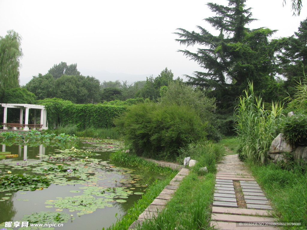 南植物园风景