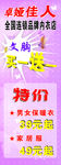 卓娅佳人展架