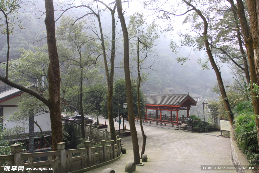 南山 风光