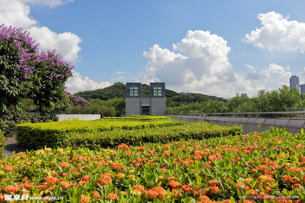 花坛