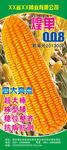 煌单008展架