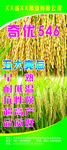 奇优546展架