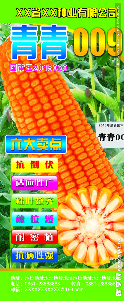 青青009展架