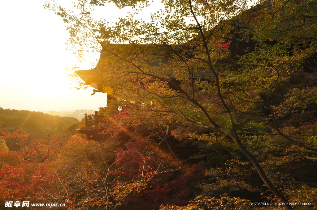 日本寺庙