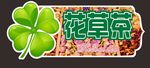 花草茶