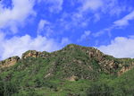 青山
