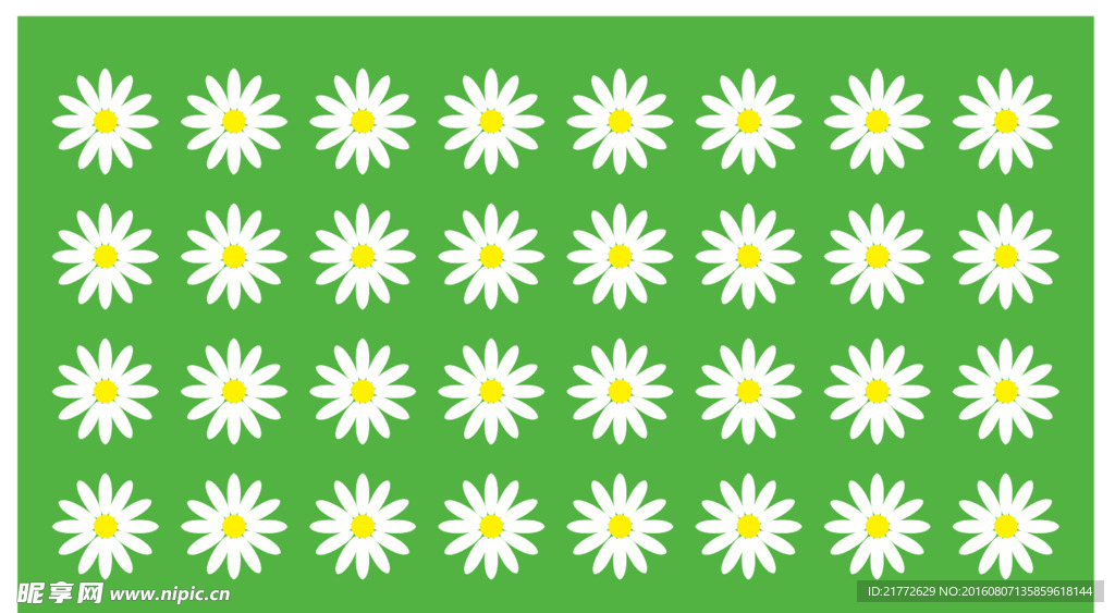 玛格丽特花 狗娃花