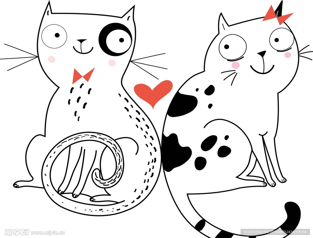 猫