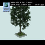 行道树池