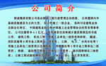 公司简介