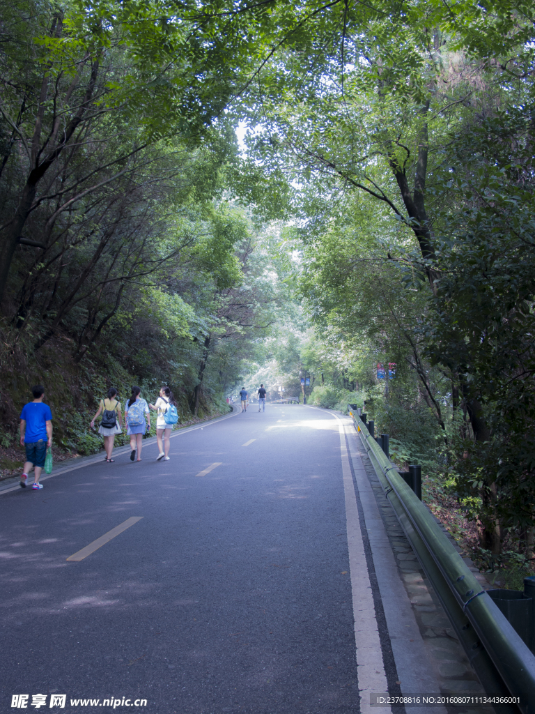 岳麓山山间公路