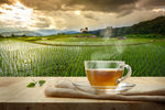 茶山