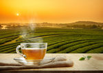 茶山
