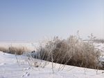雪景