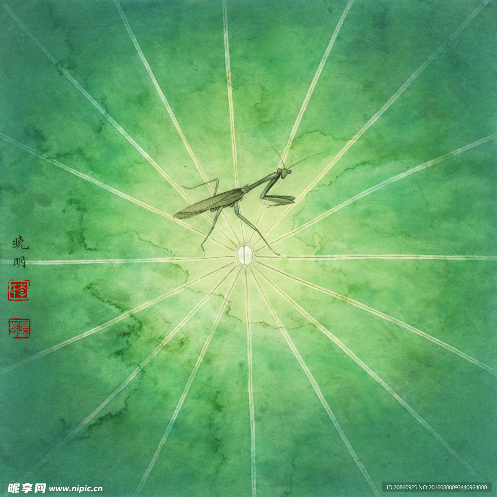 荷叶图