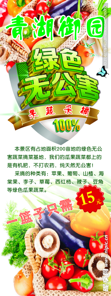 绿色无公害蔬菜展架分层可修改