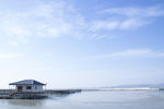 冬日湖边风景