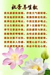 秋季养生