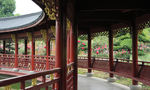 玫瑰园