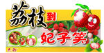 荔枝到 妃子笑
