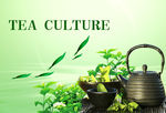 茶叶宣传