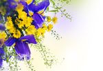 鲜花