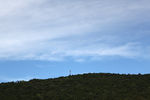 青山