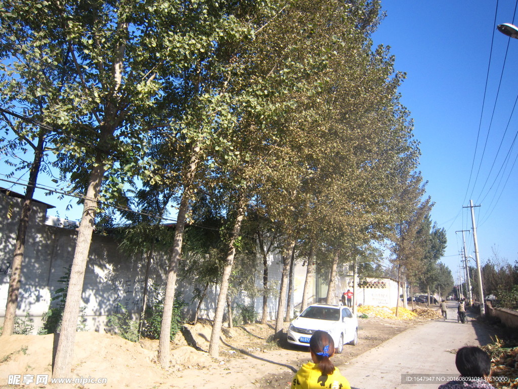 乡村小马路