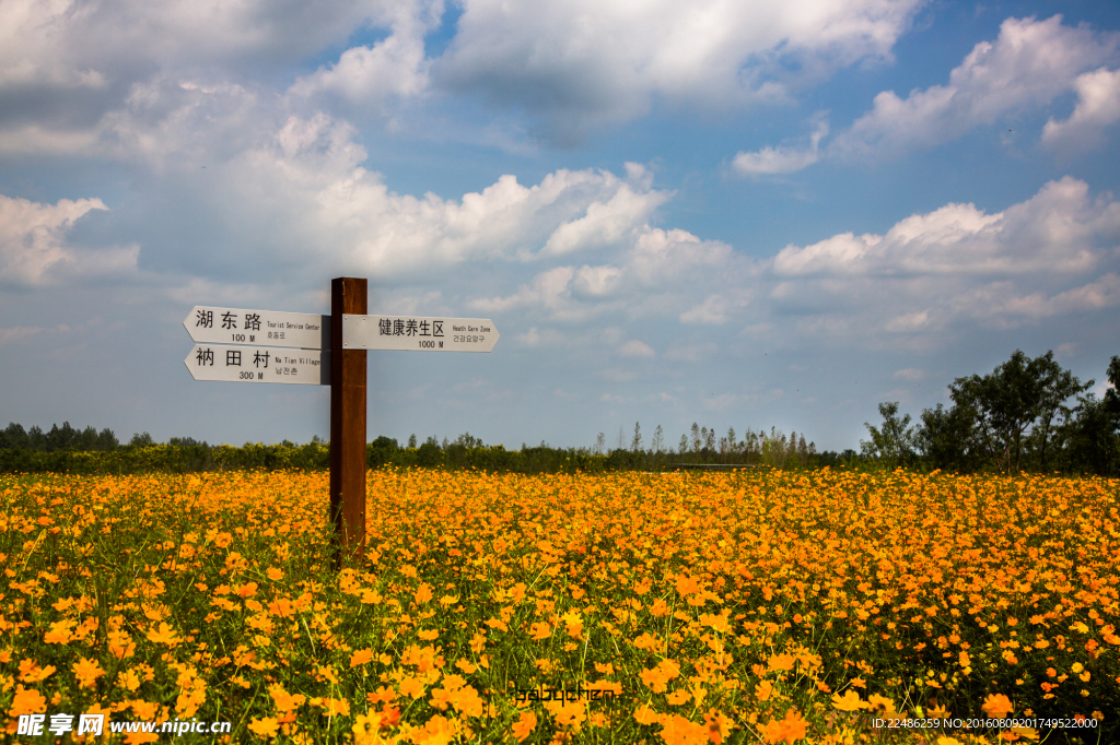 三台山森林公园
