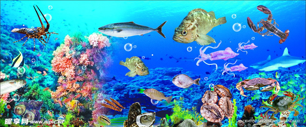海底世界