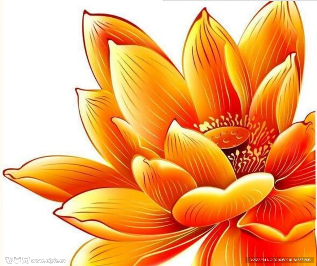 矢量橙色金线荷花瓣