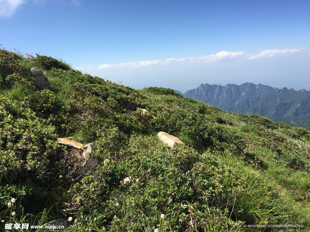 太白山