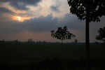 田野夕阳