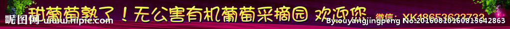葡萄