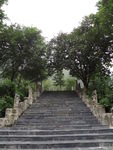 台阶