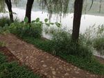 小路